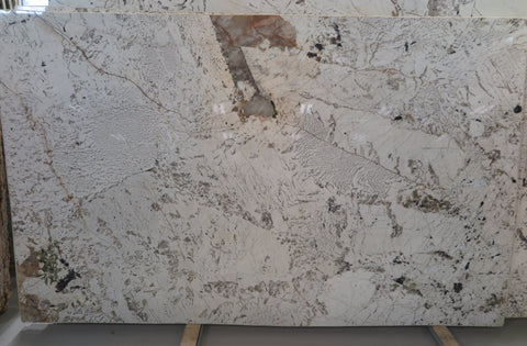 Alpinus (Alpine White)