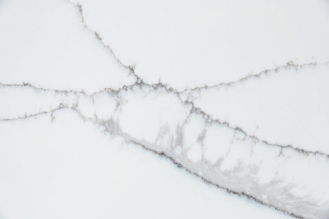 Calacatta Roma Gray