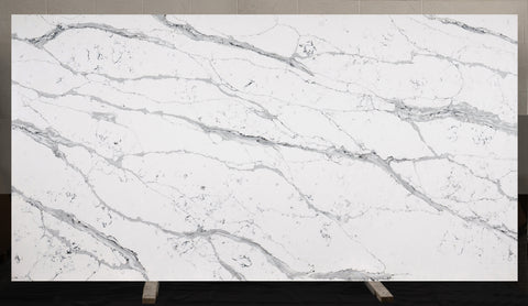 Calacatta Wagli Gray