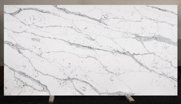 Calacatta Wagli Gray