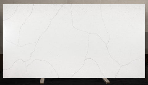 Carrara Bologna